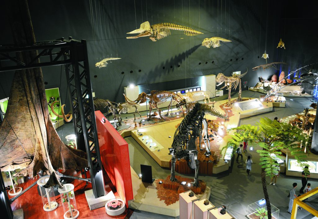 恐竜骨格標本などの展示場／神奈川県立生命の星・地球博物館（小田原市）