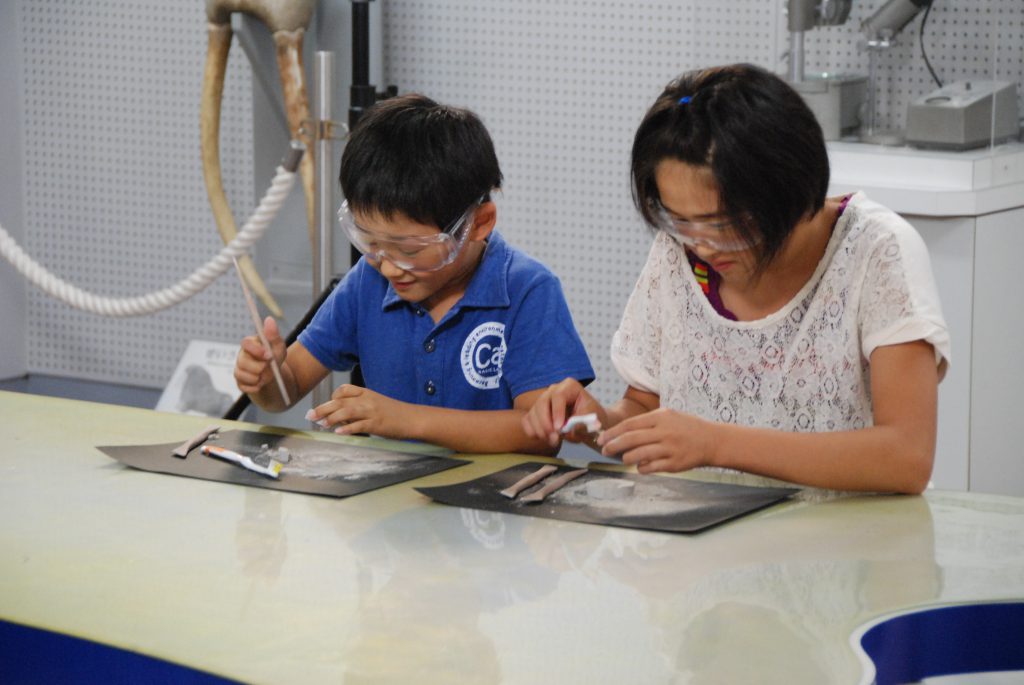 化石クリーニング体験の様子／東海大学海洋科学博物館・自然史博物館（静岡県／静岡市）