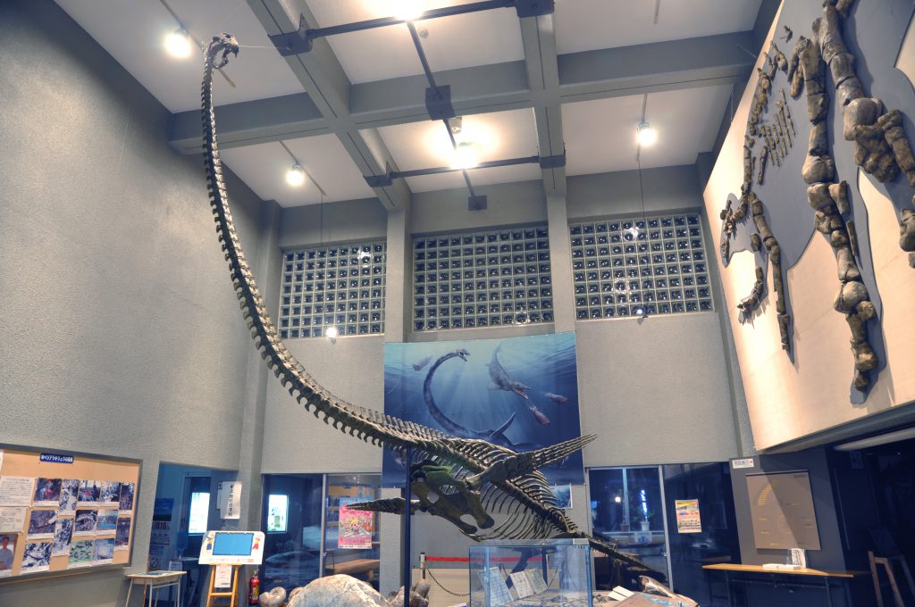 恐竜の骨格展示物/むかわ町穂別博物館(北海道)