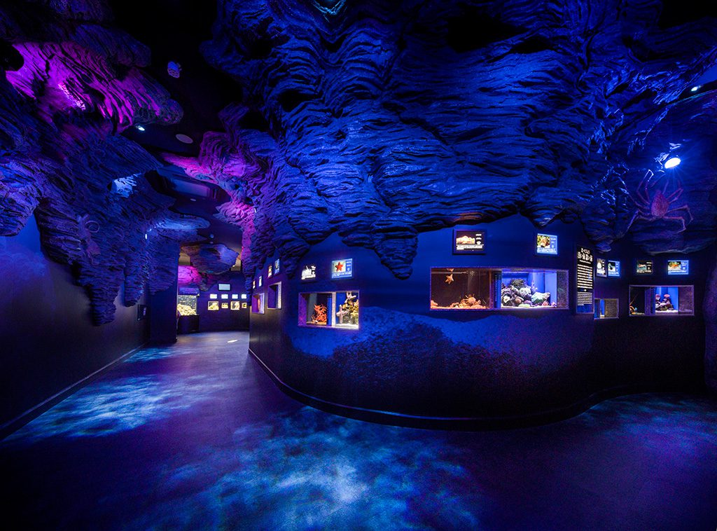 館内の様子／沼津港深海水族館 シーラカンス・ミュージアム（静岡県／沼津市）