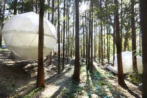 夏休みに泊まりたい！東京から行く１泊２日グランピング３選