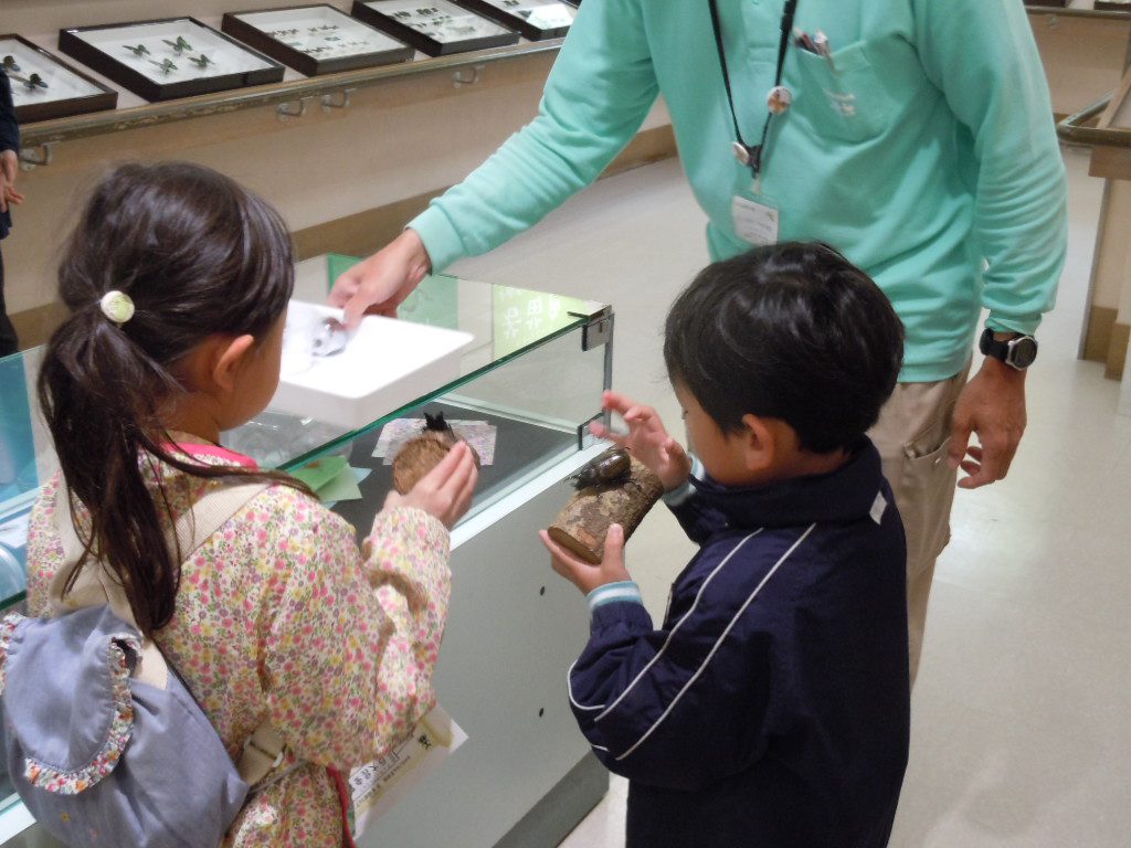 大阪府営箕面公園昆虫館（大阪府／箕面市 ）