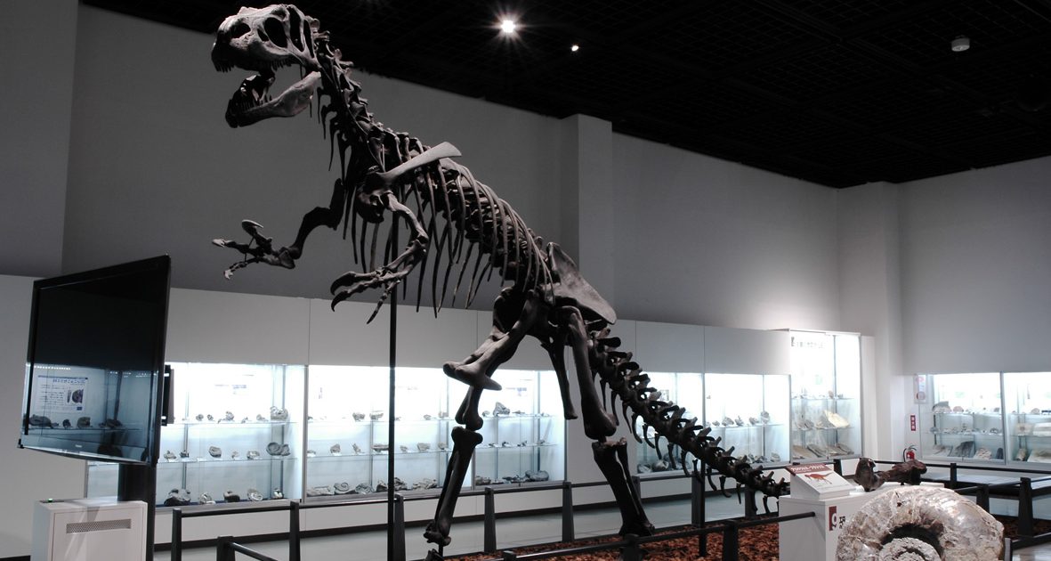 北海道の恐竜の博物館・公園など10選！カムイサウルスやモササウルスの