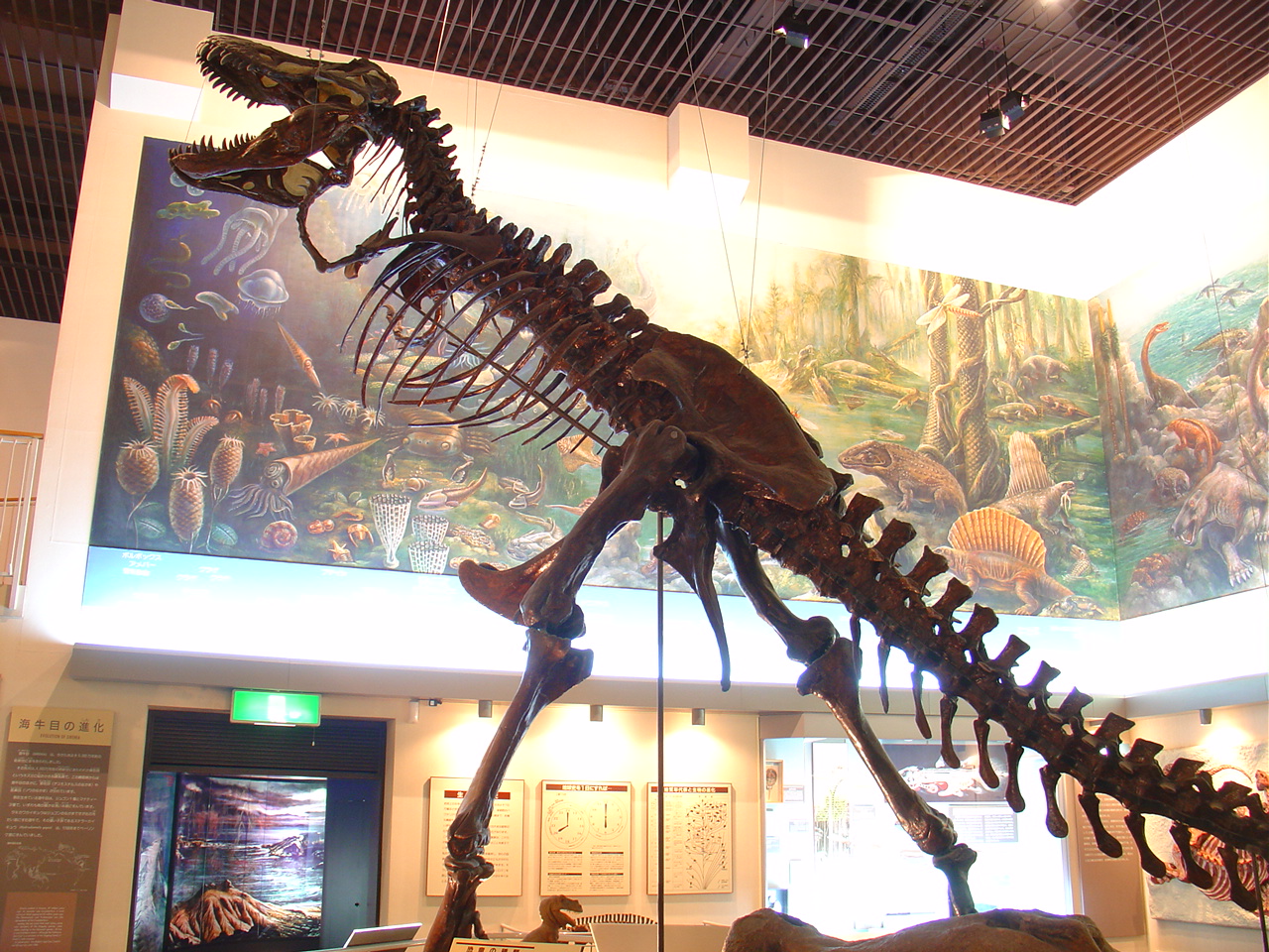 ティラノサウルス/滝川市美術自然史館(北海道)