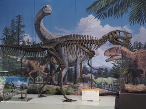東北の恐竜がいる博物館など6選!日本初の恐竜化石もチェック(岩手・宮城・福島)