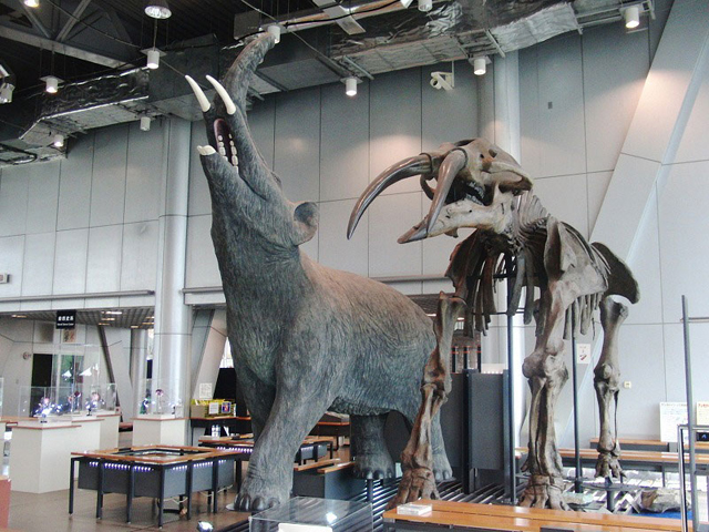 センダイゾウの復元模型など/スリーエム仙台市科学館(宮城県/仙台市)