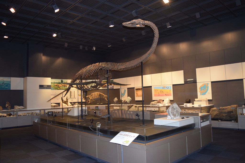 フタバスズキリュウ全身骨格標本/福島県立博物館(福島県/会津若松市)