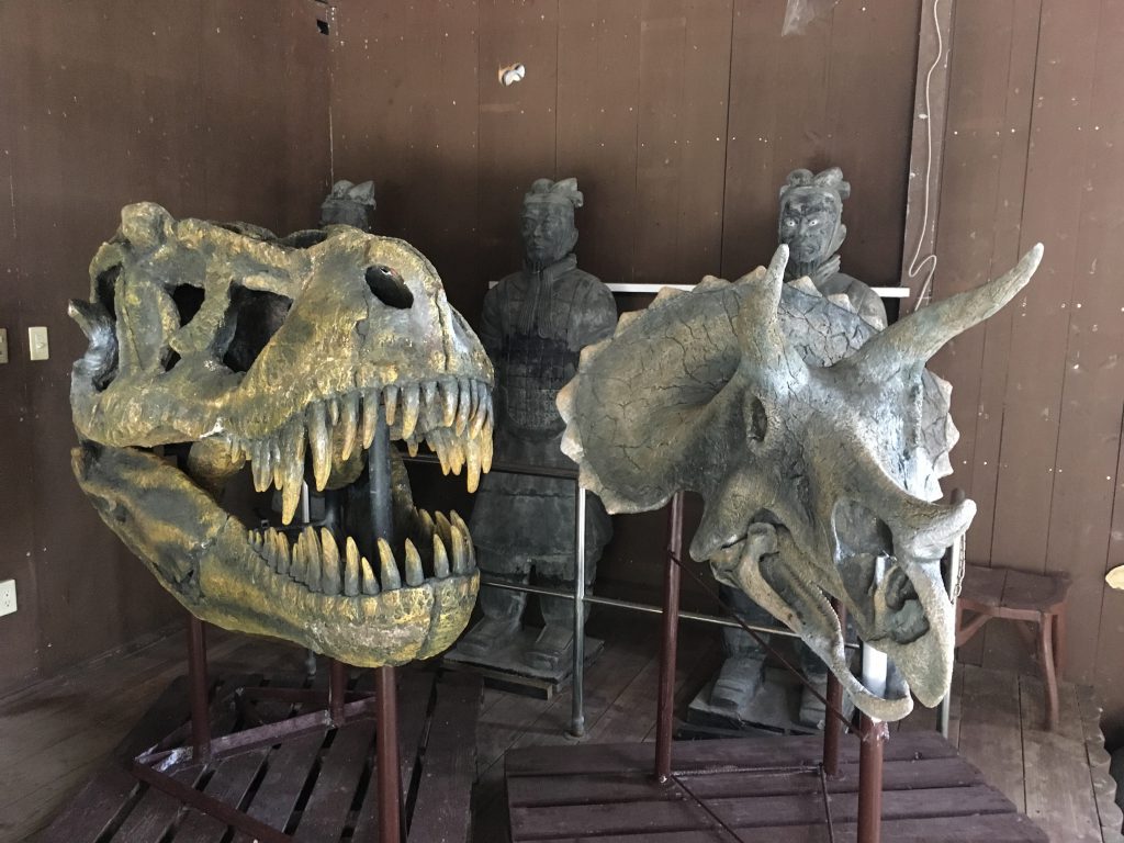 ティラノサウルスなどの化石（レプリカ）／くるくまの森ガーデンハウス（沖縄県／南城市）