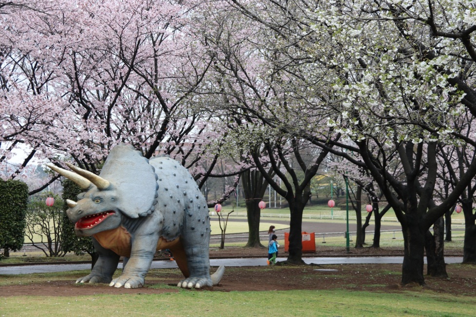 トリケラトプスの復元模型／八坂公園（茨城県／坂東市）