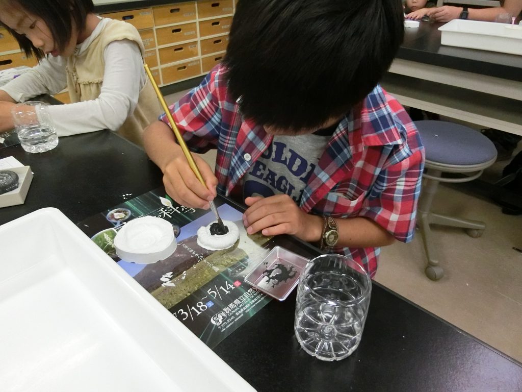 群馬県立自然史博物館