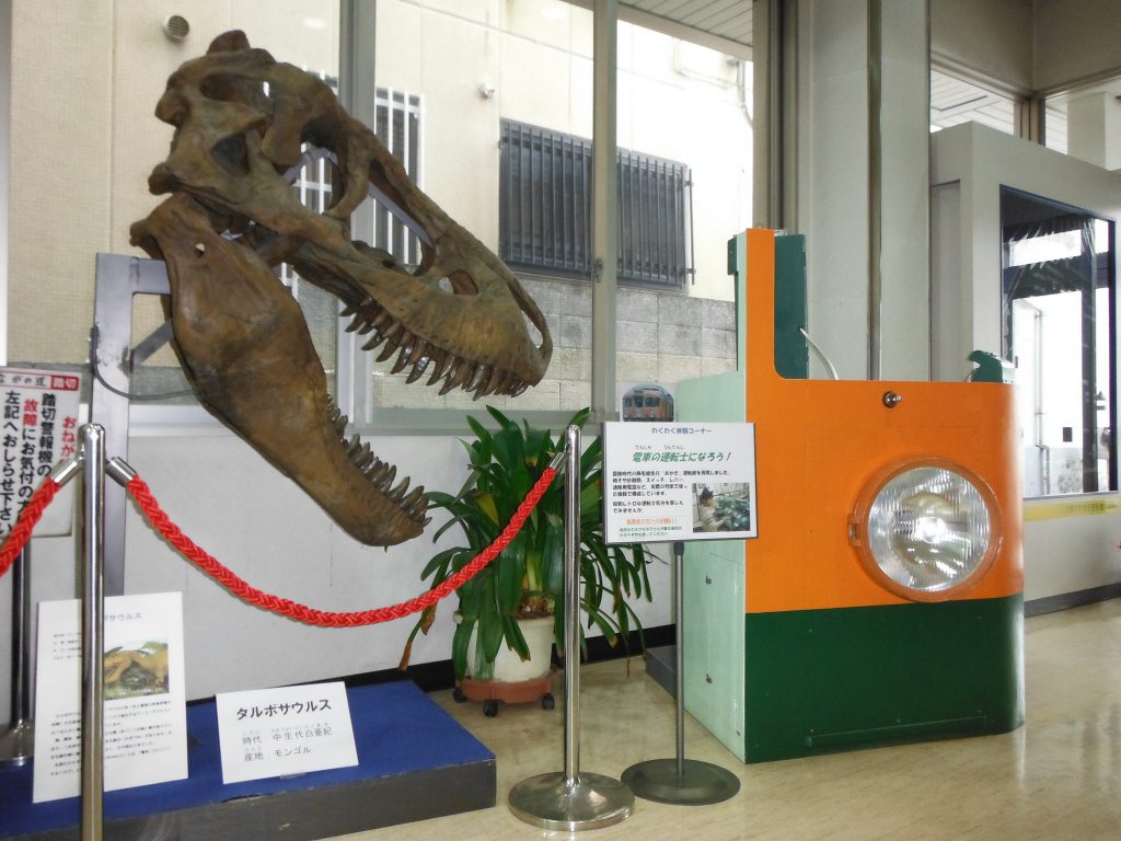 タルボサウルス頭骨のレプリカ／みどり市大間々博物館（コノドント館）（群馬県／みどり市）