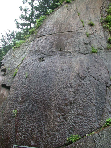 崖にある約50個の恐竜の足跡／瀬林の漣痕(恐竜の足跡)（群馬県／神流町）