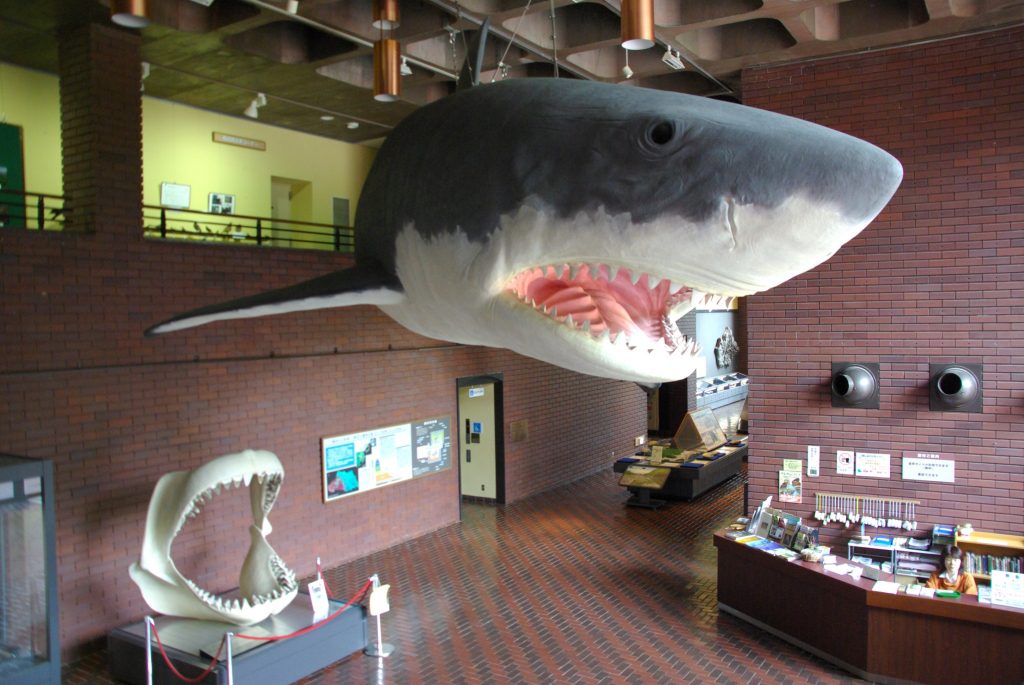 カルカロドン メガロドンの復元模型／埼玉県立自然の博物館（埼玉県／長瀞町）