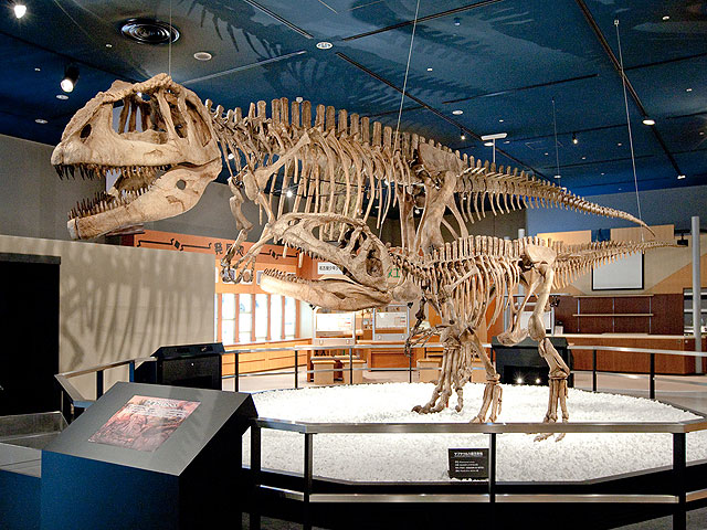 マプサウルスの全身骨格標本／名古屋市科学館（愛知県／名古屋市）