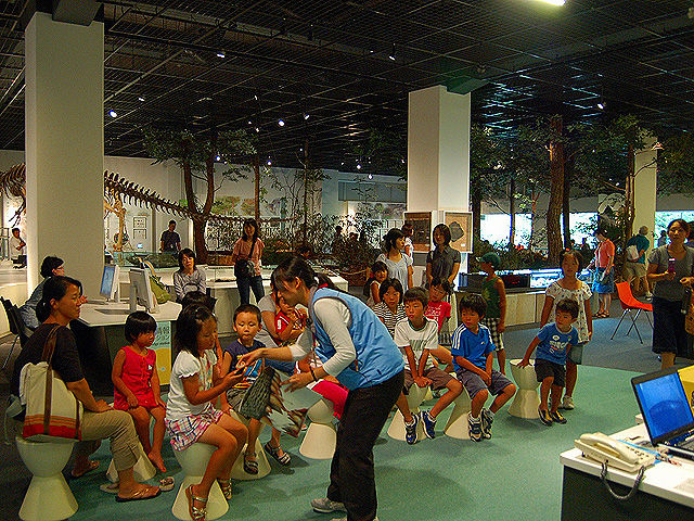 化石タッチングコーナー/姫路科学館(兵庫県/姫路市)