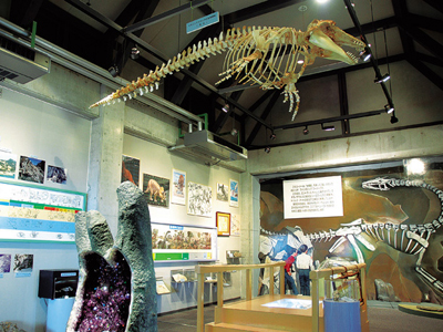 地質学のわかりやすい展示／佐川町立佐川地質館（高知県／佐川町）