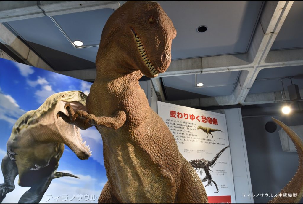 ティラノサウルスの復元模型/佐賀県立博物館(佐賀県/佐賀市)