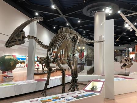 パラサウロロフスの全身骨格/長崎市科学館~スターシップ~(長崎県/長崎市)