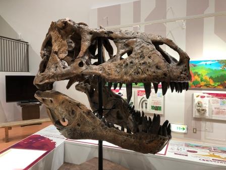 ティラノサウルスの頭骨/長崎市科学館~スターシップ~(長崎県/長崎市)