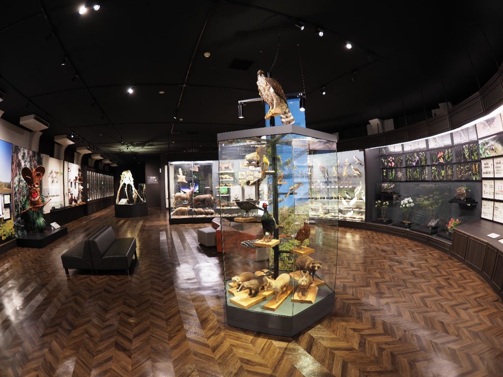 生物多様性についての展示/鹿児島県立博物館(鹿児島県/鹿児島市)