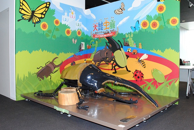 東京スカイツリーでカブトムシに大接近！「大昆虫展」で昆虫のチカラを体感しよう