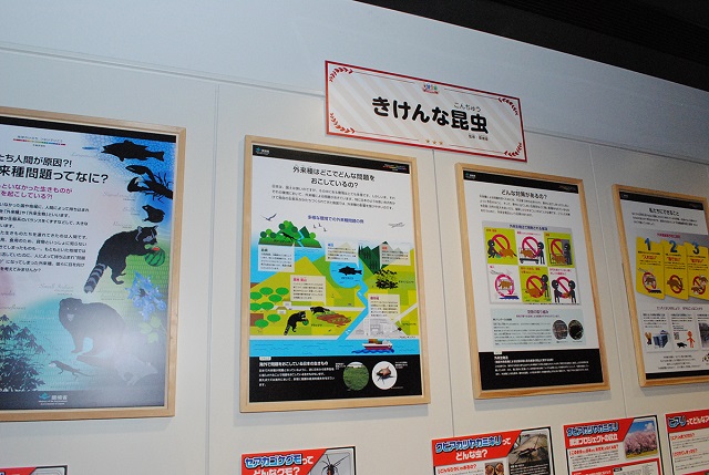 「きけんな昆虫」／大昆虫展in東京スカイツリータウン（東京都）