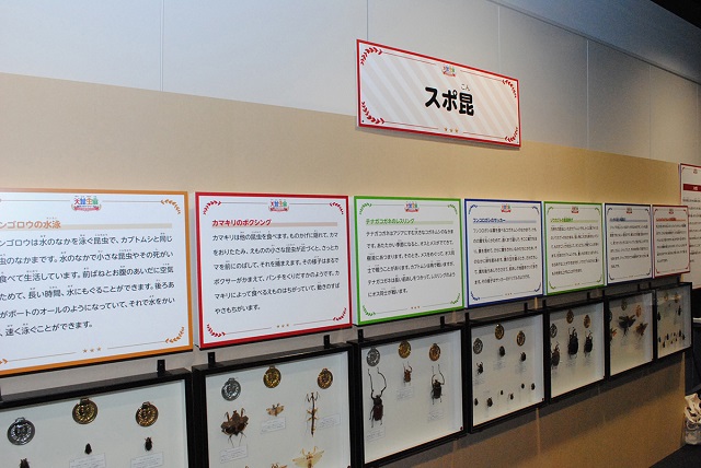 虫たちがもつチカラを標本やパネルでわかりやすく紹介／大昆虫展in東京スカイツリータウン（東京都）