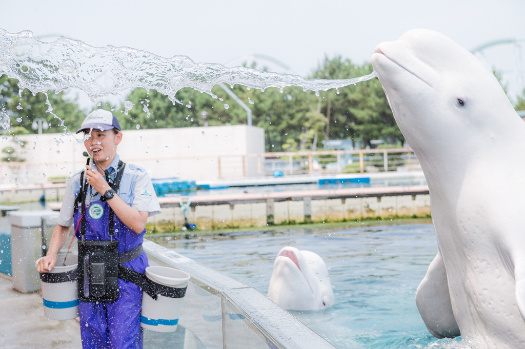 クールピクスW150を持ってもってシロイルカに会う／横浜・八景島シーパラダイス（神奈川県／横浜市金沢区）