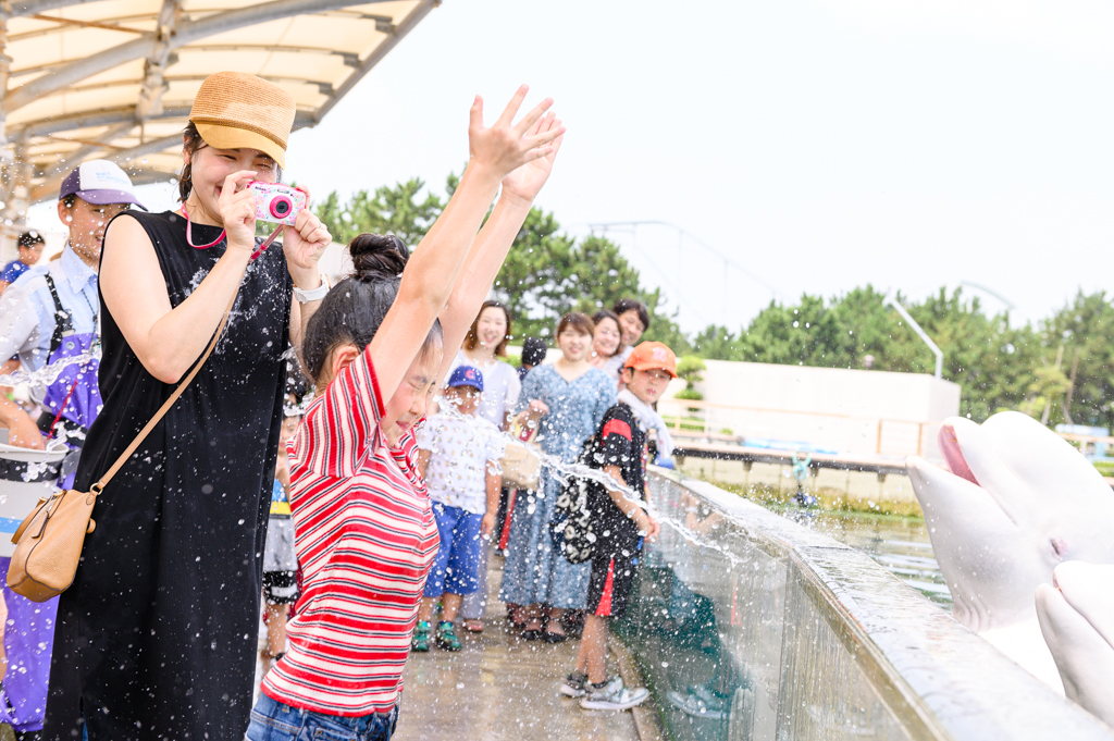 クールピクスW150でイルカと撮る／横浜・八景島シーパラダイス（神奈川県／横浜市金沢区）
