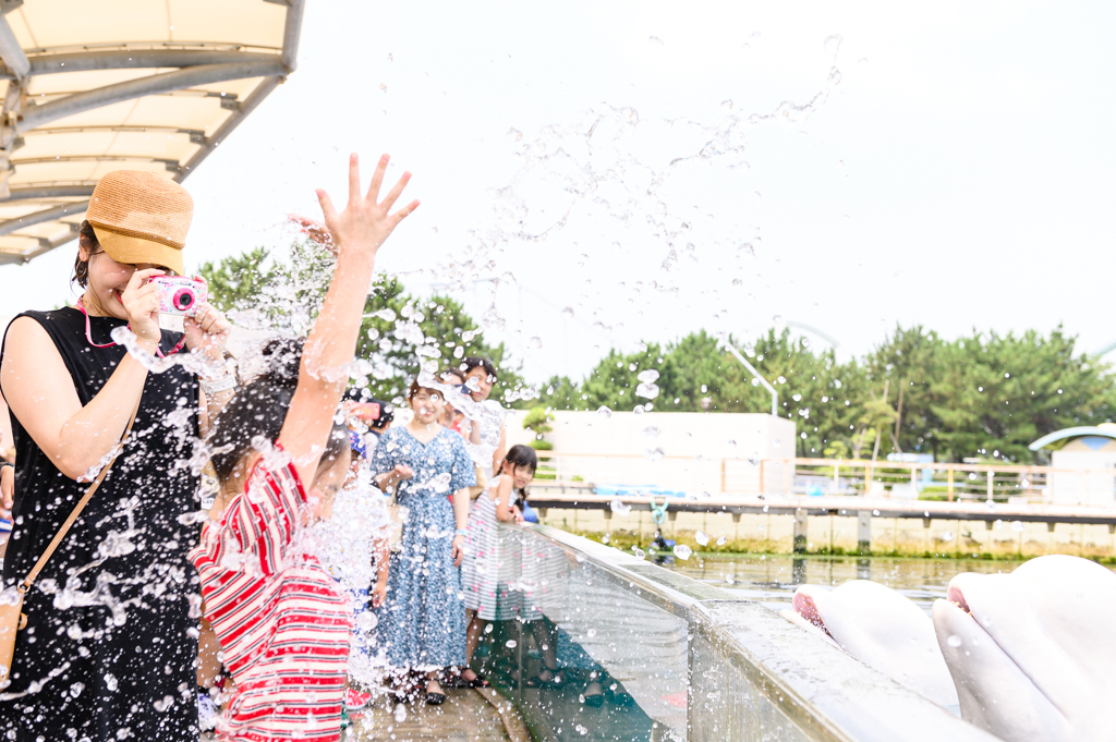 思いっきり濡れながら撮影成功／横浜・八景島シーパラダイス（神奈川県／横浜市金沢区）