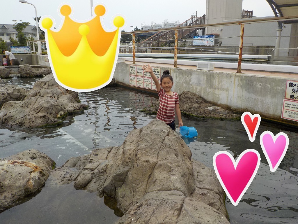 写真で遊ぶモードでキラキラなど、スタンプで可愛く編集／横浜・八景島シーパラダイス（神奈川県／横浜市金沢区）