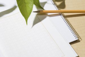 夏休みの宿題対策！旅行絵日記＆読書感想文の書き方アドバイス