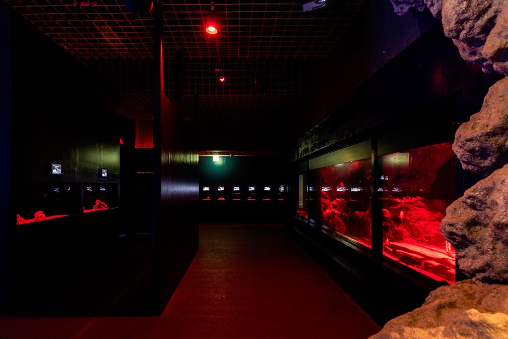 「DON底」エリア／伊豆・三津シーパラダイス（静岡県／沼津市）