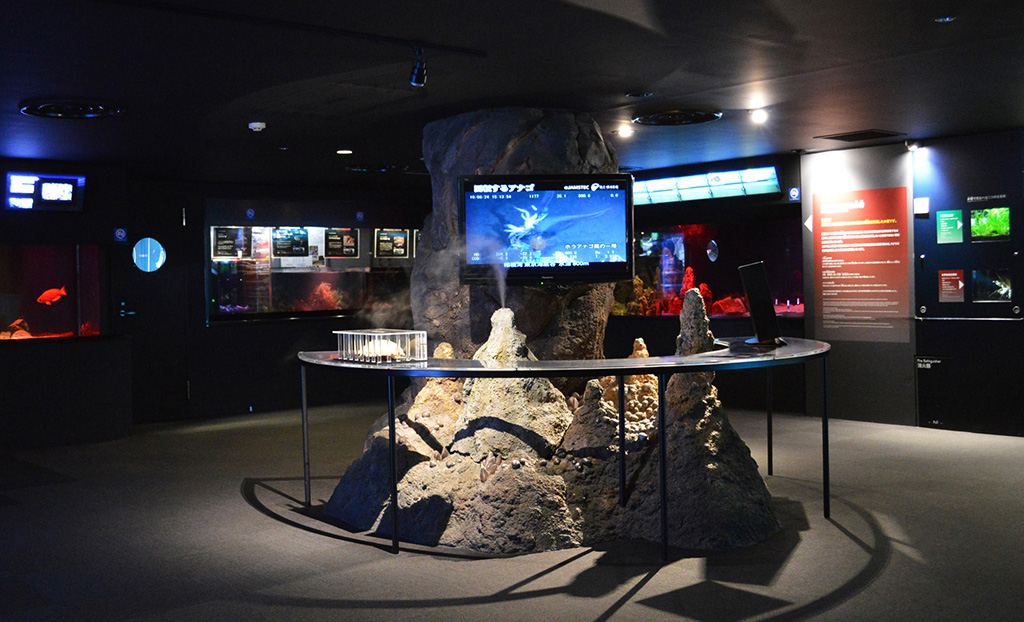 「深海Ⅰ～JAMSTECとの共同研究～」エリアの全景／新江ノ島水族館（神奈川県／藤沢市）