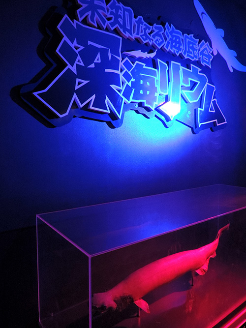 「深海リウム」の入口／横浜・八景島シーパラダイス（神奈川県／横浜市）