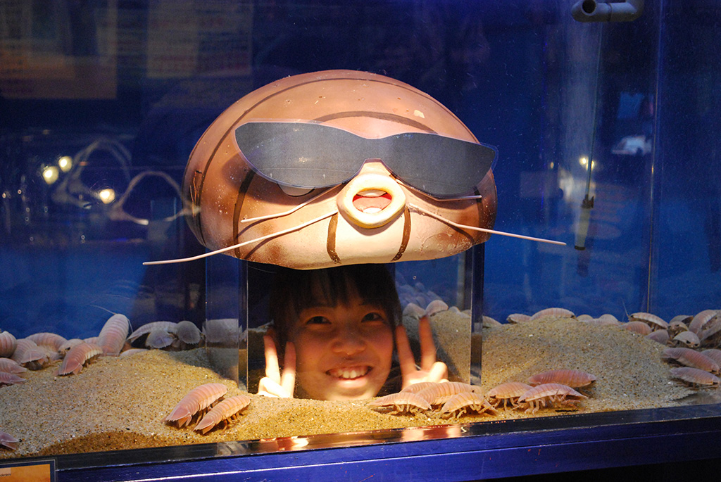 水中観察水槽／ヨコハマおもしろ水族館・赤ちゃん水族館（神奈川県／横浜市）