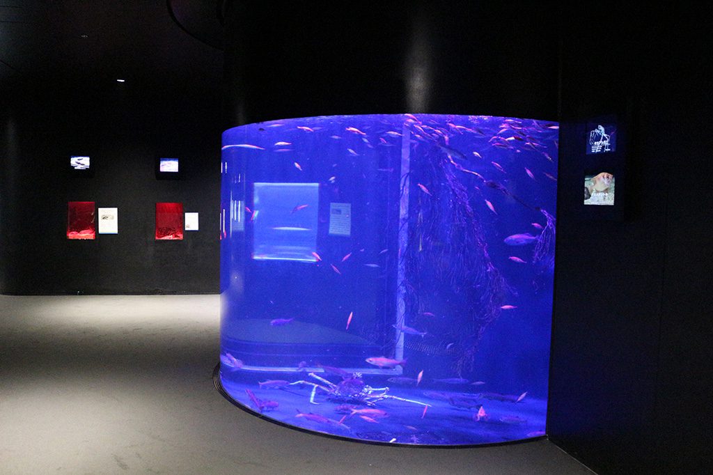 「しんかいワールド」の様子/上越市立水族博物館 うみがたり(新潟県/上越市)