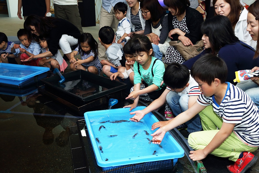 「深海 不思議の泉」/ほたるいかミュージアム(富山県/滑川市)
