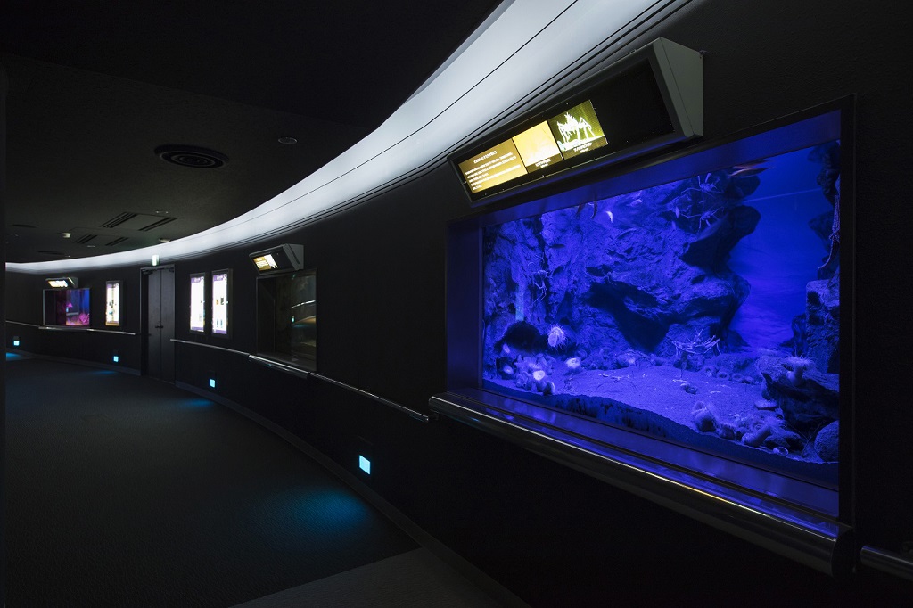 「九州の深海」エリアの様子/マリンワールド海の中道(福岡県/福岡市)