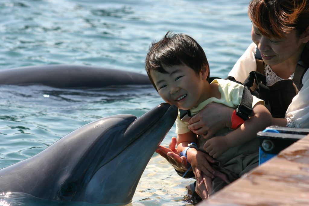 イルカとキスして記念撮影/ドルフィン・ベェイス (和歌山県/太地町)