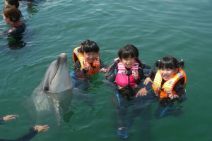 イルカと泳ぐふれあい体験スポット12選！ドルフィンスイムに餌やり、トレーナー体験も
