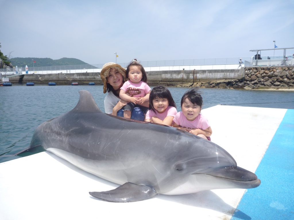 イルカと一緒に記念撮影ができる/うみたま体験パーク「つくみイルカ島」(大分県/津久見市)