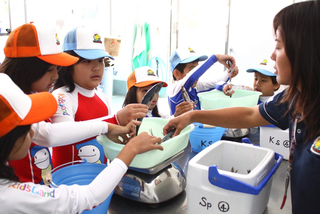 イルカのエサやり体験/もとぶ元気村(沖縄県/本部町)