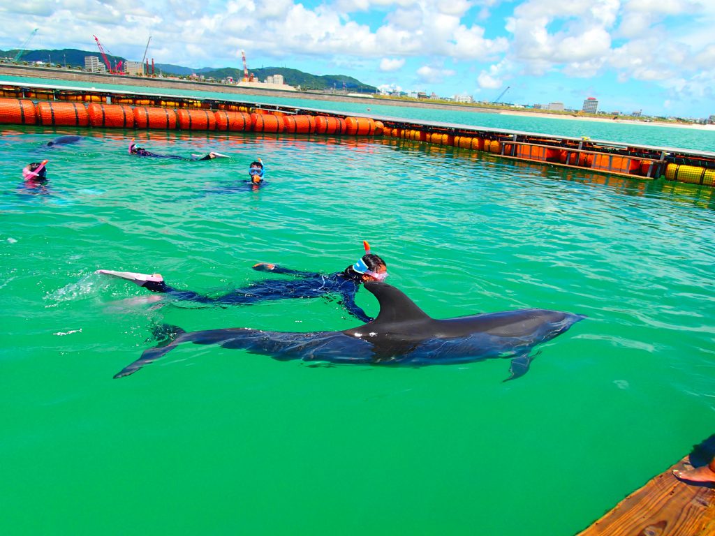 ドルフィンスイム/ドルフィンファンタジー石垣島(沖縄県/石垣市)