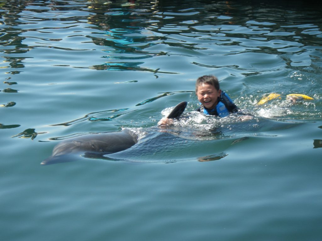ドルフィンスイム/ドルフィンファームしまなみ(愛媛県/今治市)