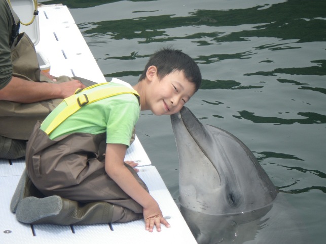 イルカとのふれあい/ドルフィンファームしまなみ(愛媛県/今治市)