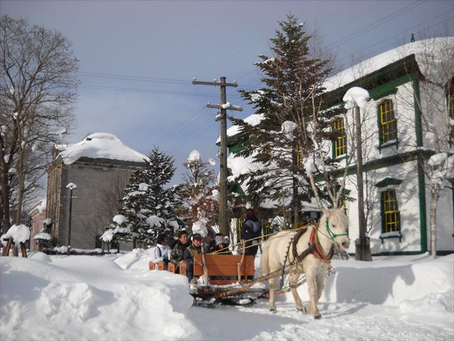 冬の雪道を走る馬そり／北海道開拓の村（北海道／札幌市）