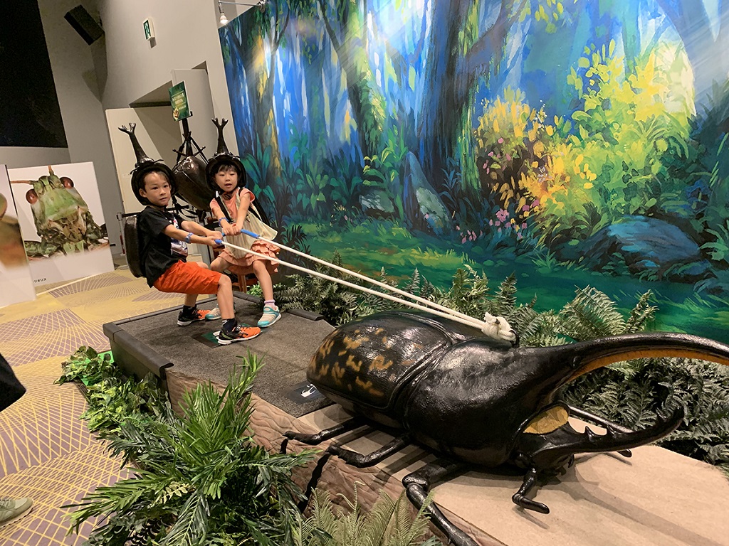 カブトムシと綱引き対決できる「オーエス！ヘラクレス」／変身！昆虫スゴわざ展2019