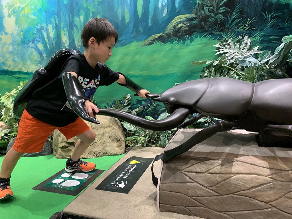 クワガタと力比べ！「ハッケヨーイ！クワガタ！」／変身！昆虫スゴわざ展2019