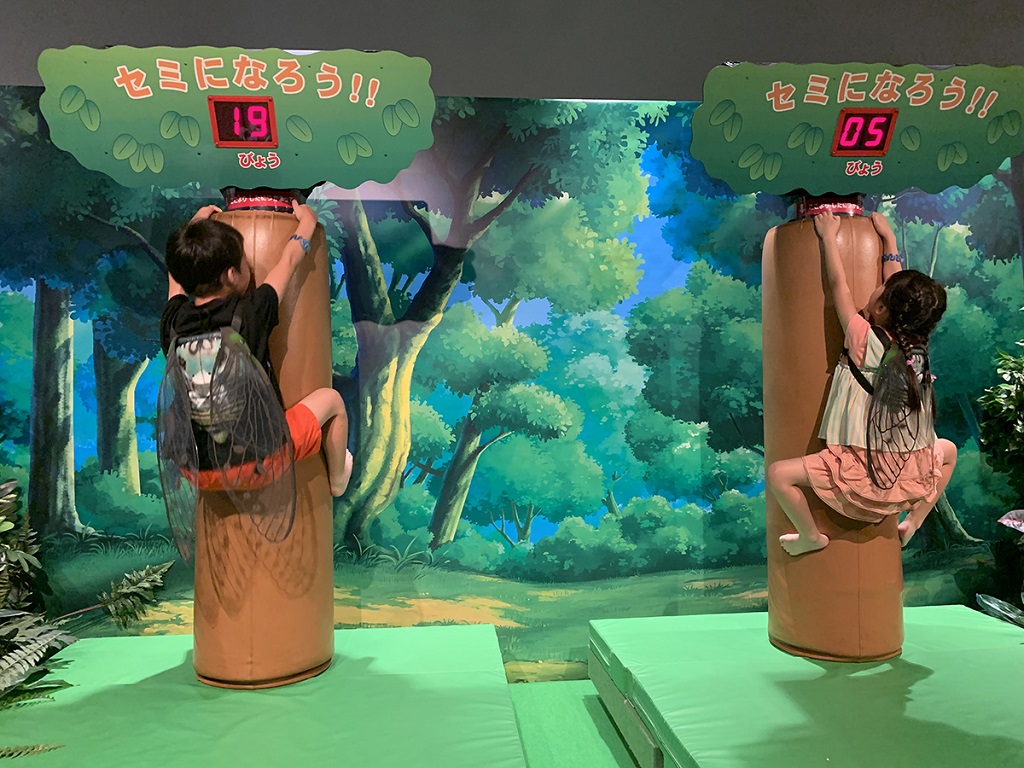 チャレンジアトラクション「ミンミンタイムアタック！」／変身！昆虫スゴわざ展2019